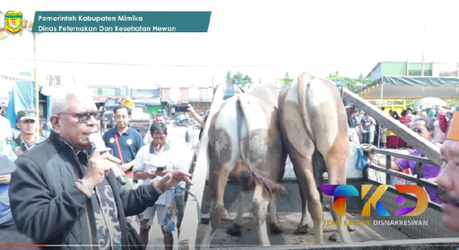 Pendistribusian Hewan Qurban (Pemda Garut) - Idul Adha 14 Juni 2025 - Tim Disnak Dan Tim Setda